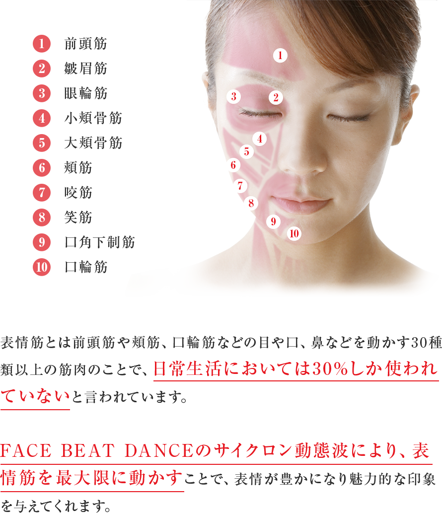 表情筋とは前頭筋や頬筋、口輪筋などの目や口、鼻などを動かす30種類以上の筋肉のことで、日常生活においては30%しか使われていないと言われています。