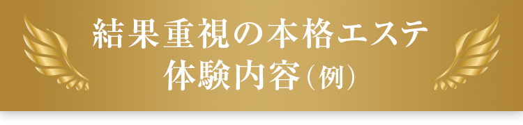 結果重視の本格エステ体験内容(例)