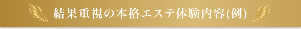 結果重視の本格エステ体験内容(例)