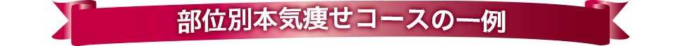 部位別本気痩せコースの一例