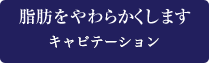 脂肪をやわらかくします サーモジュール